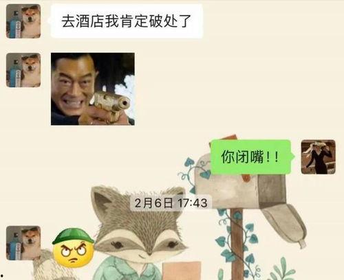 吃瓜整蛊聊天记录视频,一场欢乐与智慧的较量