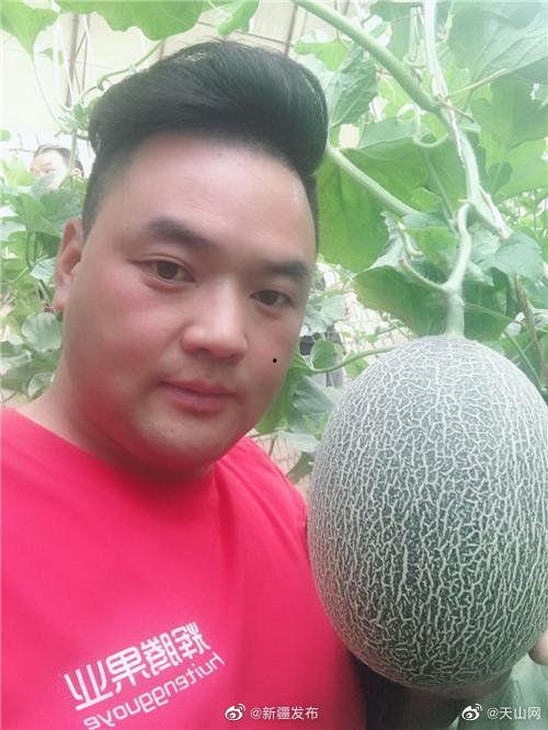 直播吃哈密瓜视频,甜蜜哈密瓜盛宴，尽享夏日清新滋味