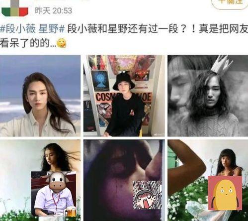 每日吃瓜聪慧全网视频,全网视频精华盘点