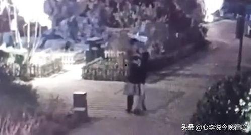 海港吃瓜最新事件视频完整版,视频完整版揭秘惊人内幕