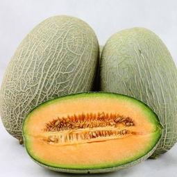 让老婆吃哈密瓜好吗视频,让老婆享受甜蜜滋味