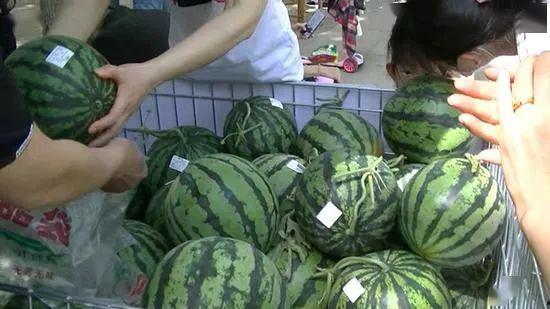 郑州大型吃瓜现场视频,全民围观，热闹非凡