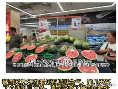 境外吃瓜视频,揭秘那些令人捧腹的吃瓜视频