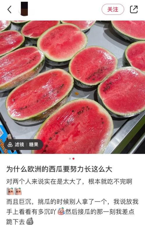 境外吃瓜视频,揭秘那些令人捧腹的吃瓜视频