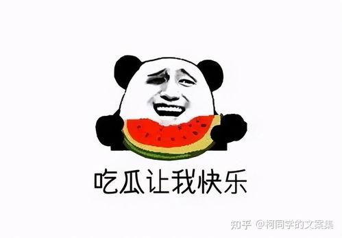 吃瓜视频群众摸口袋,揭秘网络舆论背后的真相