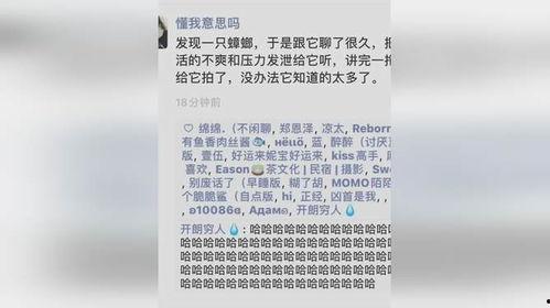 搞笑朋友圈吃瓜视频素材,笑料百出，笑翻你的周末时光
