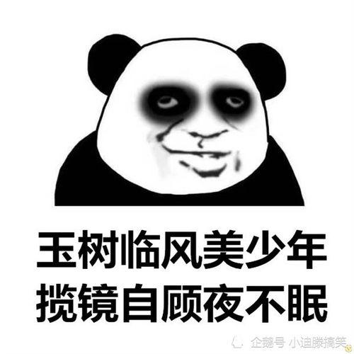 搞笑朋友圈吃瓜视频素材,笑料百出，笑翻你的周末时光