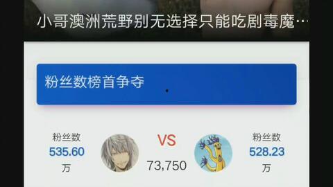 吃罗汉瓜视频大全播放网站,美味瞬间尽收眼底