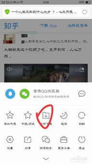 出售吃瓜视频违法吗知乎,吃瓜视频销售合法边界探讨
