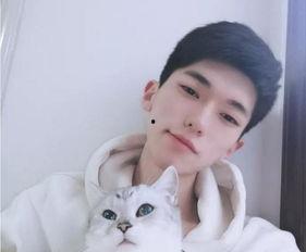 猫咪大明星吃瓜视频,吃瓜视频揭秘娱乐圈幕后趣事