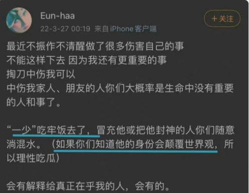广海吃瓜事件视频播放网站,网络视频平台的舆论风暴