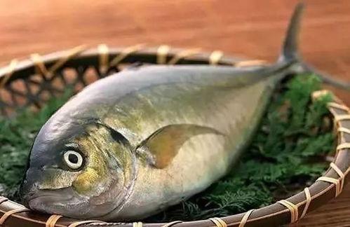 买鱼吃瓜的视频大全下载,笑料百出，精彩纷呈！