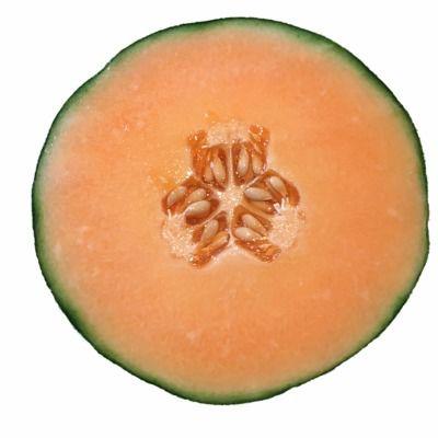 哈密瓜自闭症可以吃吗视频,揭秘自闭症儿童的健康选择