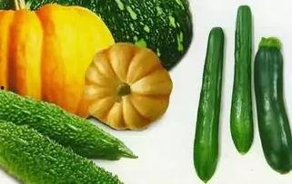 十八瓜怎么吃最好呢视频,视频教你最佳食用技巧