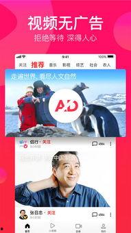 吃瓜老衲视频大全下载,揭秘娱乐圈幕后故事