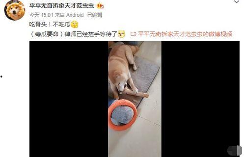 吃瓜博主范丞丞视频,范丞丞吃瓜视频揭秘娱乐圈幕后真相