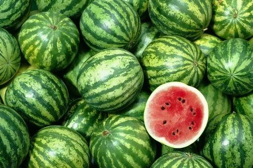 深圳吃瓜三人视频大全,趣味视频大盘点