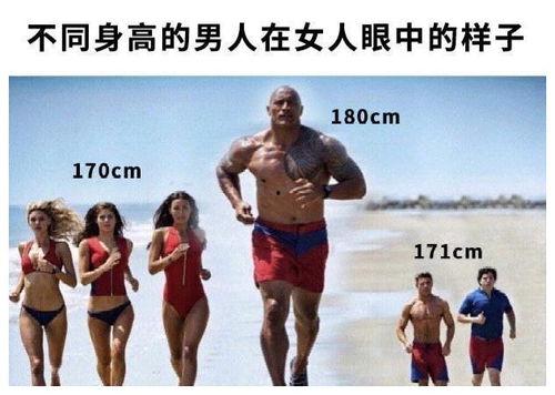 沙雕走秀吃瓜视频,一场视觉与笑点的狂欢