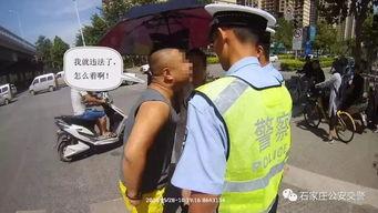 石家庄吃瓜事件真相视频,揭秘背后真相与争议
