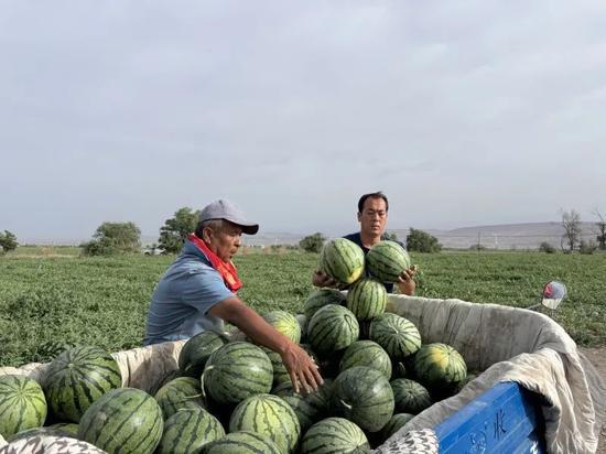 全国各地的吃瓜视频,各地特色美食视频大盘点