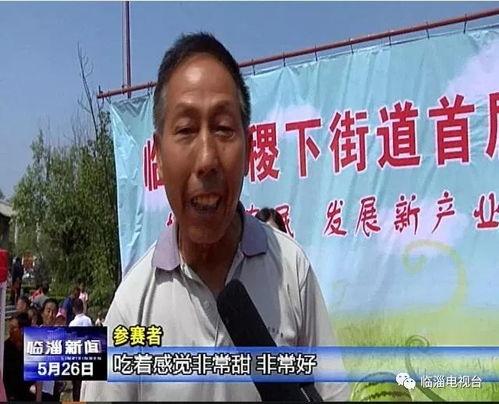 新北美吃瓜群众辟谣视频,揭秘网络谣言真相