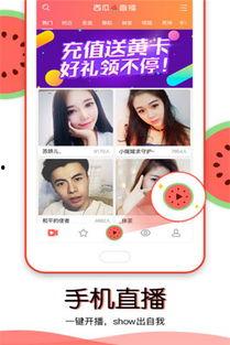 吃瓜全部视频免费观看,一网打尽热门事件