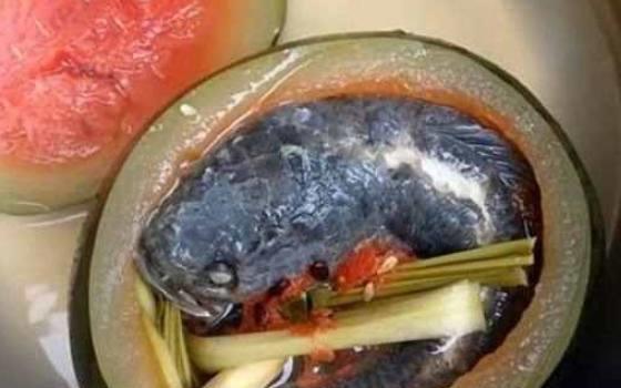 鱼儿吃瓜视频,揭秘水下美食奇观