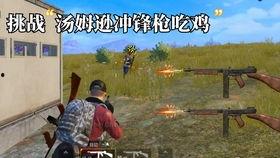 挑战吃瓜最快的人视频大全,瓜界速度与激情