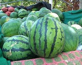 吃瓜视频渠道怎么找,轻松找到热门生成内容攻略