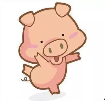 小猪吃羊角瓜好吗图片视频,趣味视频揭示萌宠美食之旅