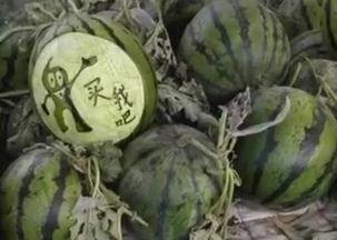 八卦吃瓜赣州话视频大全,方言魅力尽展赣南风情