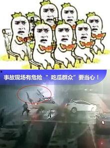 吃瓜群众类视频大全集,笑料百出，揭秘娱乐圈幕后