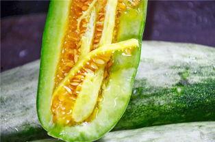 网红吃瓜的视频免费看,免费观看，揭秘娱乐圈幕后故事