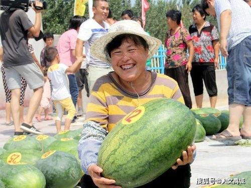 沙河公园吃瓜视频,夏日街头美食盛宴