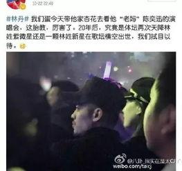 陈赫吃瓜八卦视频大全下载,揭秘娱乐圈幕后故事