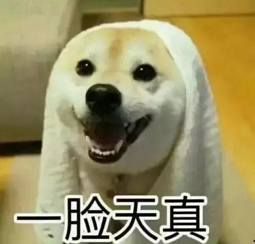 楼下吵架楼上吃瓜视频,楼上楼下“吃瓜”现场直击