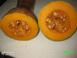 陕西安康吃瓜视频,一场吃瓜视频引发的全民热议