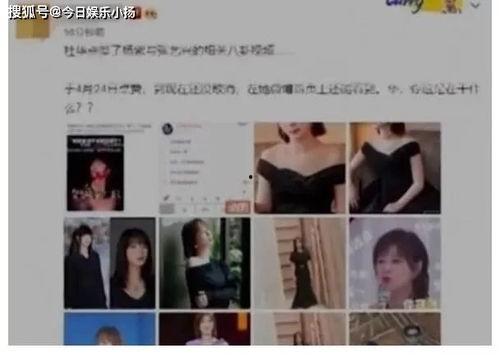 吃瓜恋情曝光视频大全下载,恋情曝光视频大全下载攻略