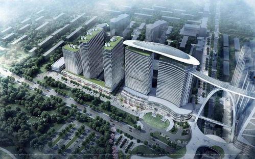 世茂滨江业主群视频吃瓜,一场吃瓜盛宴背后的社区风云