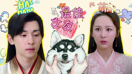 二逗吃瓜全集视频,揭秘娱乐圈幕后故事，笑料连连全集回顾