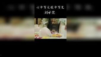 吃瓜打架网站大全视频播放,吃瓜打架网站大全视频精选回顾