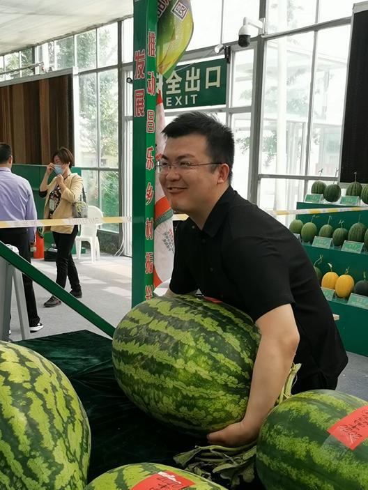 中山吃瓜群众吃蕉视频,趣味吃蕉视频引全民热议