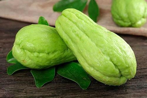 吃佛手瓜对人身有害吗视频,了解吃佛手瓜可能带来的危害