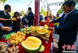 金乡最新吃瓜事件视频,视频揭秘惊人真相！