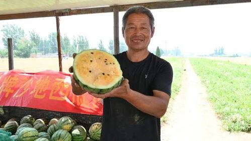 金乡最新吃瓜事件视频,视频揭秘惊人真相！